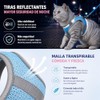 Pack de 2 Arnés para Perro y Gato con Correa