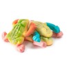 Bayside Candy Gummi Rainforest Frogs - Gummy Frogs (1LB)