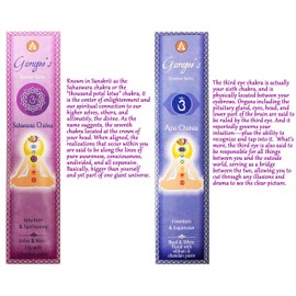 White Sage Smudge Product (Chakra Incense)