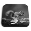 1 x Square MDF Fridge Magnet - Cute Cheeky Squirrel