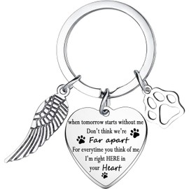 Waeceip Pet Memorial Gifts Dog Cat Remembrance Anniversary Keyring Loss Of Dog Sympathy Gifts When Tomorrow Starts Without Me