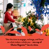 Choice Organic Teas English Breakfast Tea - Fair Trade -
