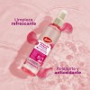 Jaloma Tónico Agua de Rosas Antioxidante para Todo Tipo de