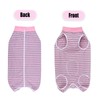Axcimond Dog Bodysuit - Post-Surgery Spay/Neuter Recovery Suit for Female/Male