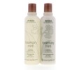 Aveda Rosemary Mint Shampoo & Conditioner Duo 8.5 oz