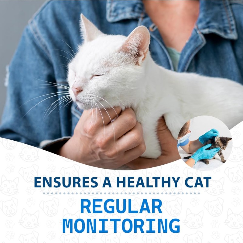 Sophbabio Comprehensive Feline Health Test Kit | 4 Detection for