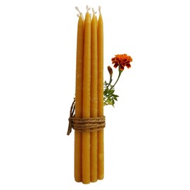 BCandle 100% Beeswax 2-hour Candles Organic Hand Made - 7 1/2 Inch Tall, 3/8 Inch Diameter (Pack of 12), Porcelain Candle Holder