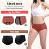 CARER Healthcare Incontinence Pregnancy Carer Incontinence Underwear for Women Washable
