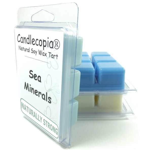 Candlecopia Sea Minerals, Cactus & Sea Salt and Sea Mist Strongly Scented Hand Poured Vegan Wax Melts, 18 Scented Wax Cubes, 9.6 Ounces in 3 x 6-Packs