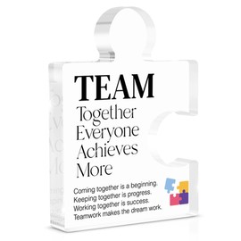 Inspirational Team Gift for Coworkers Colleagues Employees, Teamwork Gifts Team Together Everyone Achieves More Acrylic Puzzle Piece Plaque Office Decor