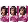 Revlon Colorsilk Luminista Haircolor, Burgundy Black, 3 Count
