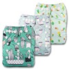 Littles & Bloomz, Reusable Pocket Cloth Nappy, Fastener: Popper, Set