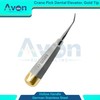 Crane Dental Pick Elevator, Slight Bent Tip, Gold End Hollow