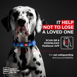 Nylon Dog Collar with Airtag Holder - Adjustable Dog Collar for Large Dogs, Small & Medium Dogs - Breakaway Puppy Collars for Large Breed Dogs - Boy & Girl Dog Collars with Durable Plastic Buckle