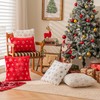 AQOTHES Pack of 2 Faux Fur Fuzzy Christmas Decorative Throw