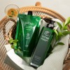 Titan [Titan] Lemon Balm Root Volume Shampoo Refill