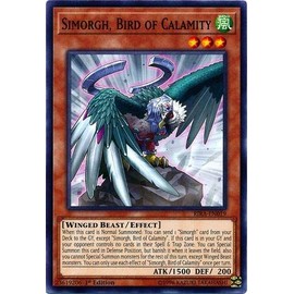 Yu-Gi-Oh - Simorgh, Bird Of Calamity - RIRA-EN019 - Common - 1st Edition - Rising Rampage