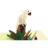 Handmade 3D Pop Up Greeting Card Handmade Parrot, Birthday, Christmas,
