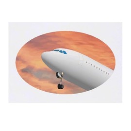 'Aeroplane Ascent' Temporary Tattoo - Water Resistant, Skin-Safe, Non-Toxic Transfer (TO00084299)