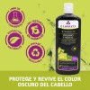 Shampoo Organo Y Nogal Cuarzo 550ml