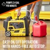 Deway Automatic Fuel Transfer Small 15" Pump with Auto-Stop &
