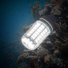 SecurityIng LED Underwater Fishing Light, Underwater Light, Underwater Light, Fishing Light, Fishing Light, Fishing Light, Floodlight, Night Fishing, Shrimp, Crab, Squid, Small, High Brightness, IP68