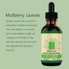 Chlorophyll Liquid Drops All Natural Concentrate Energy Booster Digestion and