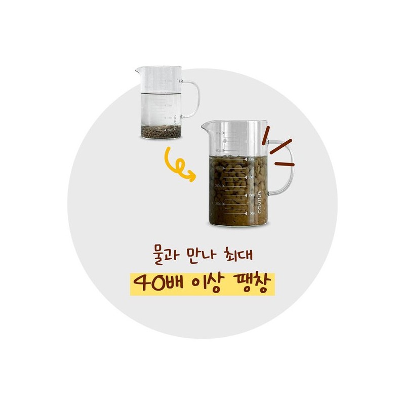 일일일응 차전자피 식이섬유 변 비움 쾌변 엔 5g 28포 1박스