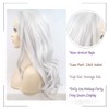 AFBeauty Platinum Grey Wig Synthetic Long Wavy Gray Side Part