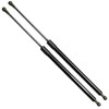 TENKIDOM Front Hood Struts Compatible with Ford Edge CD539 2015-2024