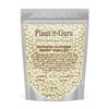 Moringa Seeds Kernel Shelled 8 oz. - Clean PKM1 Variety