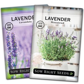 Sow Right Seeds - Lavender Seed Collection for Planting - Non-GMO Heirloom Packets with Instructions to Grow a Beautiful Indoor or Outdoor Herb Garden - 2 Varieties Including English and Munstead