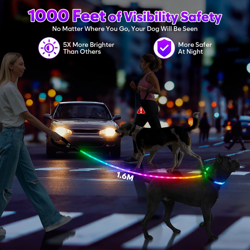Light Up Dog Leash with Collar 2-in-1, 14 LED Modes