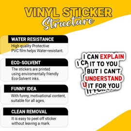 3 Pcs I Can Explain It to You But I Can't Understand It for You Stickers – Funny Sarcastic Decals – Gifts for People Who Love Witty Quotes – for Laptop, Water Bottle, Tumbler – 3"x3"