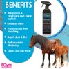 EQyss Premier Equine Horse Spray - Moisturizes Skin and Coat,