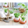 Seishin Pottery EG-4804 Egg Ring, Eco Friendly, Cactus, White