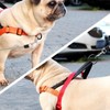 Didog No Pull Dog Harness with Soft Padded Handle, Quick