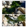 Cloverleaf Sludge Answer for Pond & Aquarium (1 Litter)