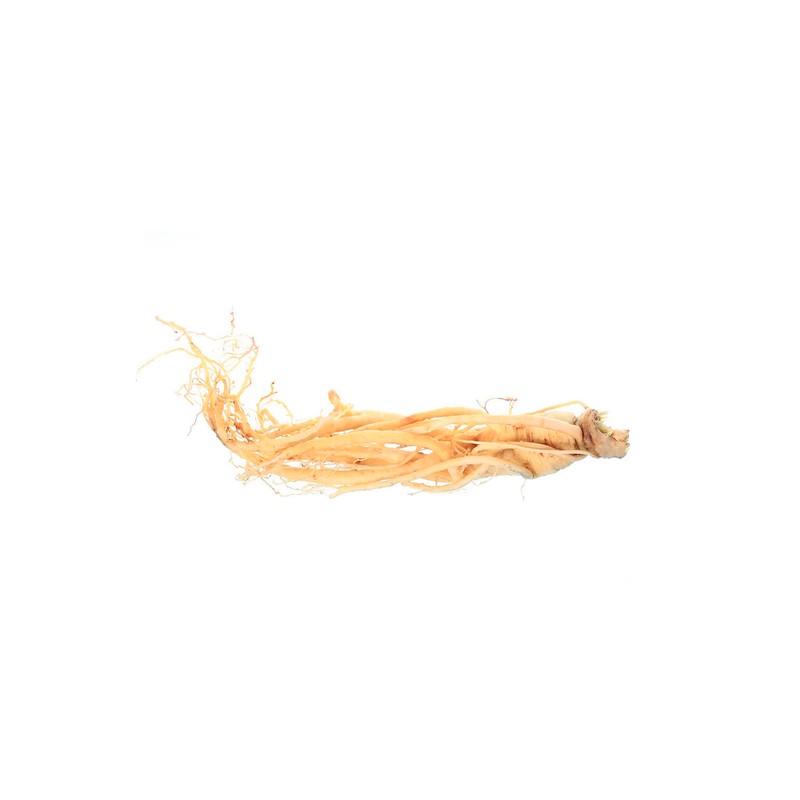 Eleutherococcus (Siberian Ginseng), 500 mg/60 Capsules, Titrated to 0.8% in