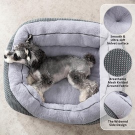 INVENHO Small Dog Bed for Small Dogs, Cat Beds for Indoor Cats Washable, Orthopedic Dog Bed, Warming Soft Calming Sleeping Puppy Bed Durable Pet Bed with Anti-Slip Bottom S(20"x19"x6")