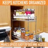 BBV Spice Rack Organizer, Double layer Seasoning Organizer for Cabinet