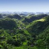 Coffee Roasters of Jamaica - 100% Jamaica Blue Mountain Coffee