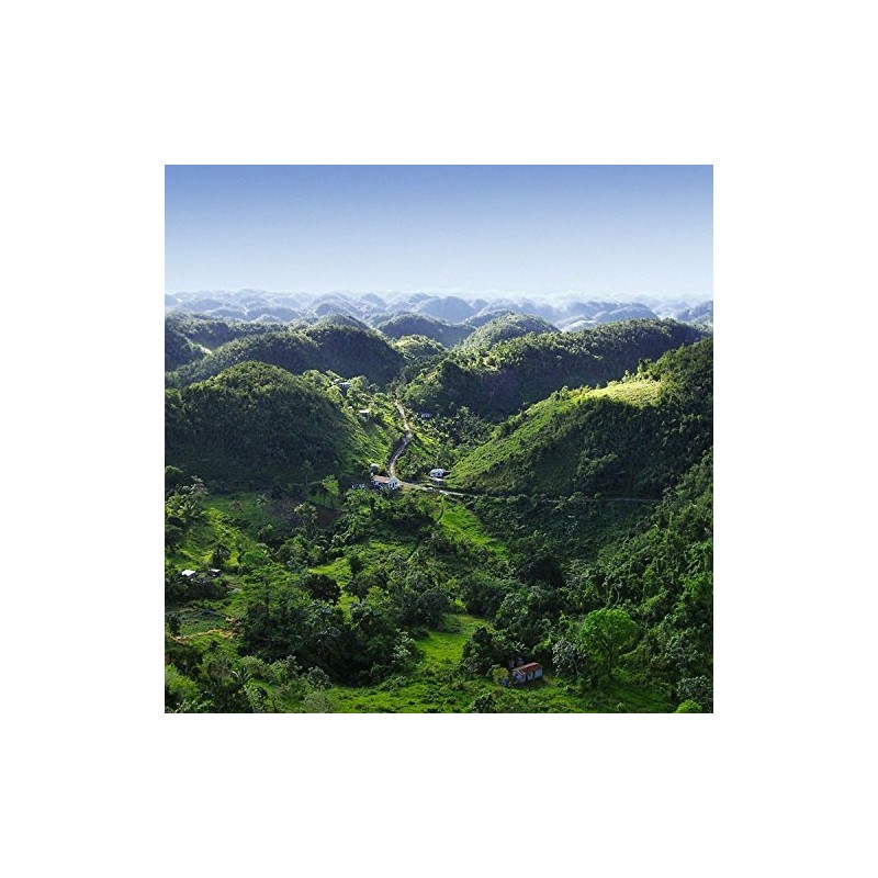 Coffee Roasters of Jamaica - 100% Jamaica Blue Mountain Coffee
