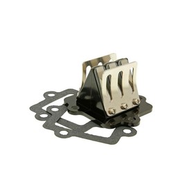 2EXTREME Racing 6 Flap Membrane Block Compatible with Yamaha Aerox 50, ATU Explorer Race GT50, Neos 50, Malaguti F15 Firefox, Aprilia Rally 50, Sachs SX1, YE Zest 50, Race GT50, Beta Ark 50 AC