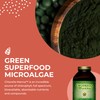 HEALTHFORCE SUPERFOODS Chlorella Manna - Powder - 350 Grams