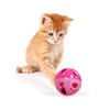 Pets First CAT TOYS Interactive Toys For Cats. Cat Ball