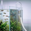 QWORK Glass Inflow Aquarium Lily Pipe - 17mm for 5/8''(16/22mm)