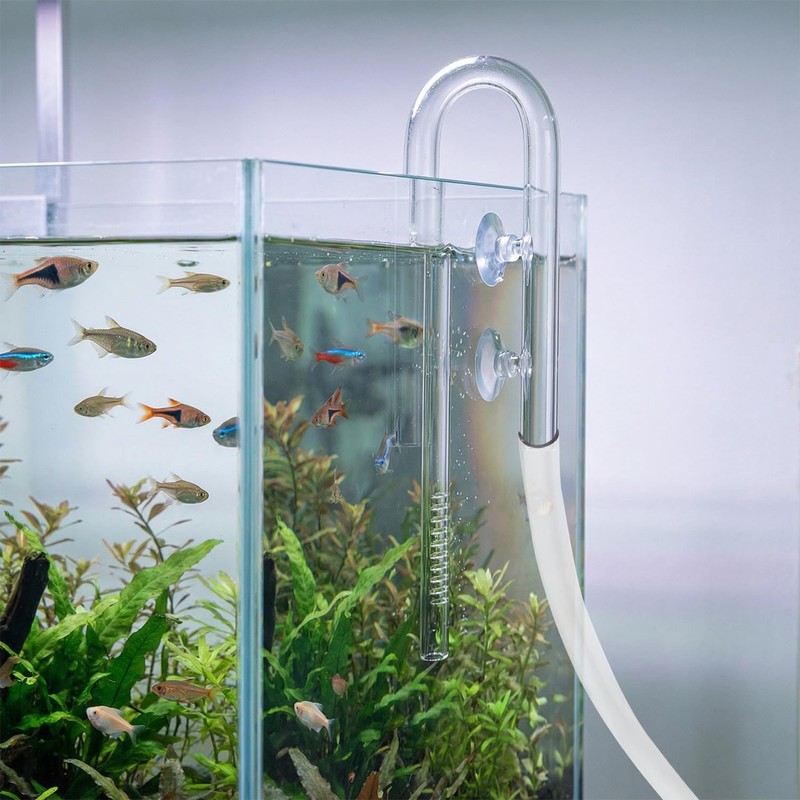 QWORK Glass Inflow Aquarium Lily Pipe - 17mm for 5/8''(16/22mm)