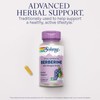 SOLARAY Berberine Root Extract Advanced Formula, AMPK Activator, Healthy Immune,