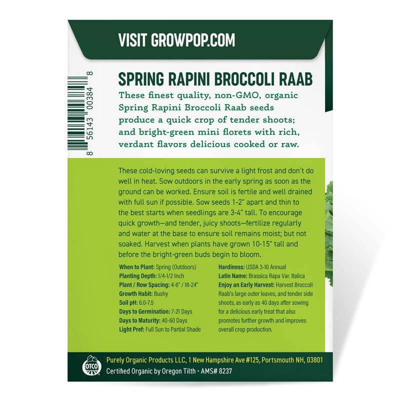 Organic Broccoli Raab Seeds (Spring Rapini) - Approx 750 Seeds
